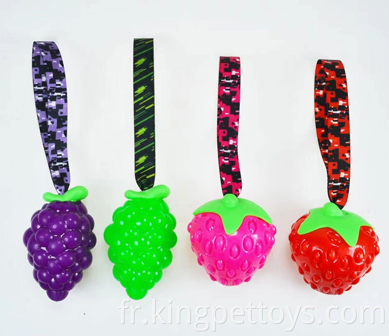 Interactive Dog Chew Toy Grape